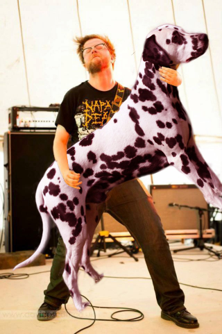 Illustration for article titled These Bass Players Look Like They're Petting Dogs, And It's Amazing